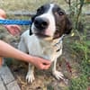MIA 2 sucht Familienanschluss