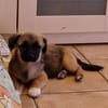 Süßer LUDWIG sucht sein Zuhause