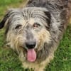 MAYA sucht Familie