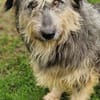 MAYA sucht Familie