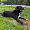 hades (RESERVÉ)