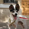 CURRO