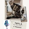 Twyla