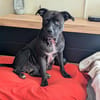 Paty, une Gwada en Normandie