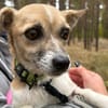 Fine  kleine Seele sucht große Herzen