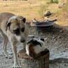 Juli: mit Sonne im Herzen