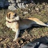 Juli: mit Sonne im Herzen
