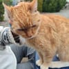 Karlchen-noch auf der Straße!
