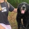 Chico - sucht DRIGEND ein neues Zuhause