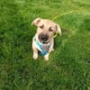 Hundekind sucht Bestplatz