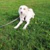 Frieda - verzaubert auch dich!
