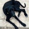 Betty hat einen Neuanfang verdient
