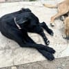 Betty hat einen Neuanfang verdient