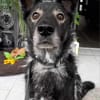 Marlo sucht SEINE MENSCHEN