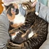 LUSI (11 Mon.) und MAUMAU (6 Mon.)
