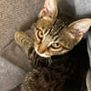 LUSI (11 Mon.) und MAUMAU (6 Mon.)