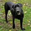 OTTO 2 sucht seine Menschen
