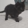 SALEM