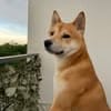 SHIRO
