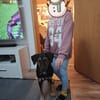 💚Fröhlicher Finnley sucht sein Glück 💚