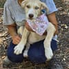 Sensibles soziales Hundekind SADY ♥