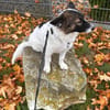 Kleine Minu auf PS in Bayern