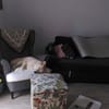 SOS - HERMES verliert sein ZUHAUSE 🆘🆘