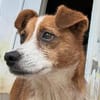 Liebe, verschmuste Heidi