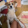 Liebe, verschmuste Heidi