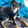 Tiny ist intelligent, lieb und sozial!