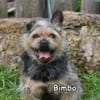 BIMBO