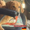 Kassandra - freundlich und sportlich