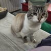 TOBBY