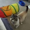 TOBBY