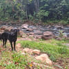 Tessy