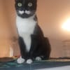 Félixa
