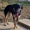 Otto, warum sieht mich denn keiner?