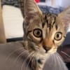 Zula - SUCHT EIN NEUES ZUHAUSE