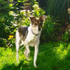 Hübsche Tilda wartet in Hausen!
