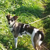Hübsche Tilda wartet in Hausen!