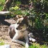 Hübsche Tilda wartet in Hausen!
