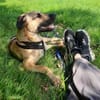 Juni sanfte sensible Seele
