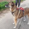 EMILIA - sucht Familienanschluss