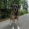 EMILIA - sucht Familienanschluss