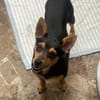 Emmi sucht ihre Familie