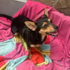 Emmi sucht ihre Familie