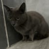 ANOUK