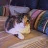 AMANDINE