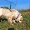 Potap sucht sein Zuhause
