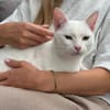 Micky und Apollon aus dem Tierschutz
